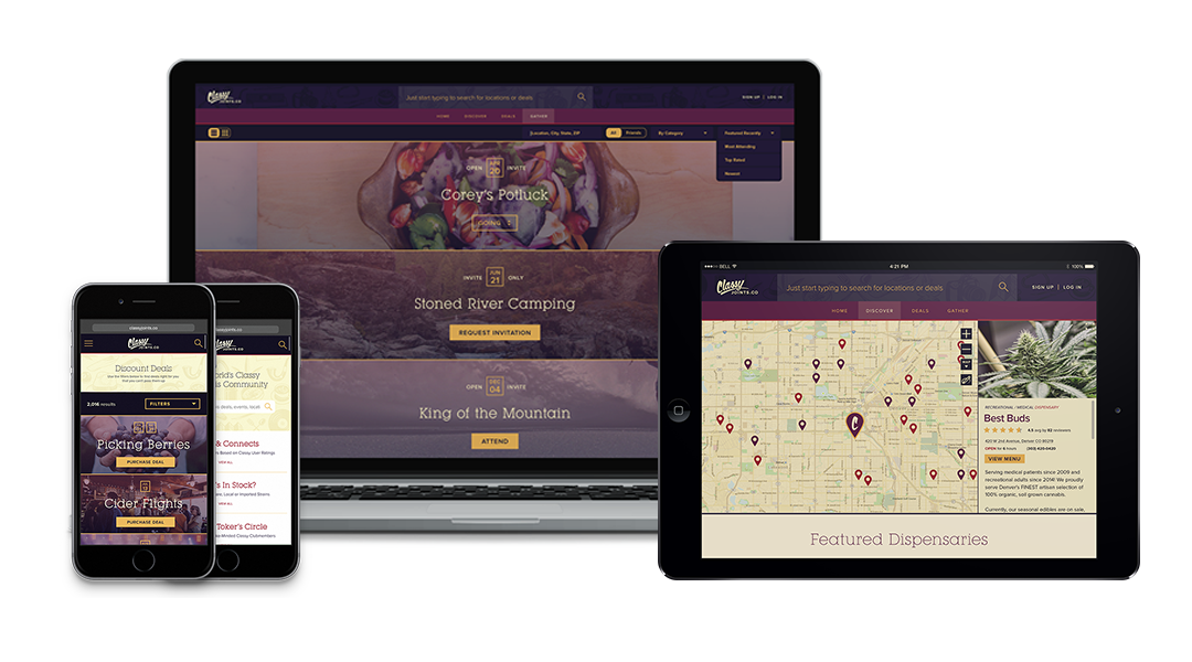 Web Development Projects