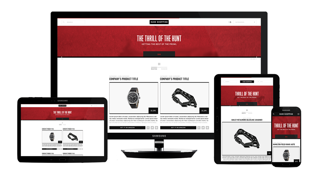 Web Development Projects